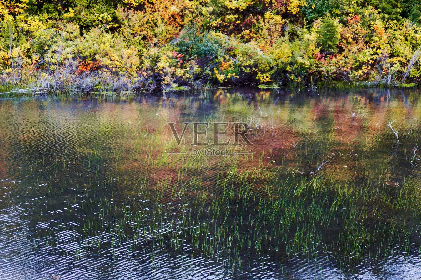 照片照片摄影图片