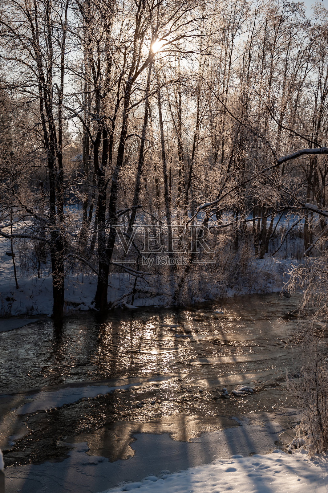 冬雪森林河流景观与阳光。照片摄影图片