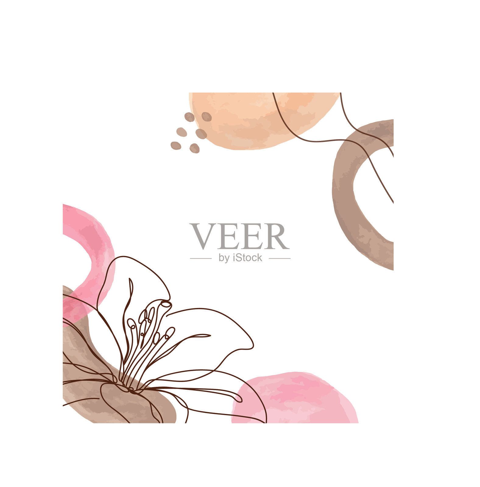 在彩色背景上的线性风格的花插画图片素材