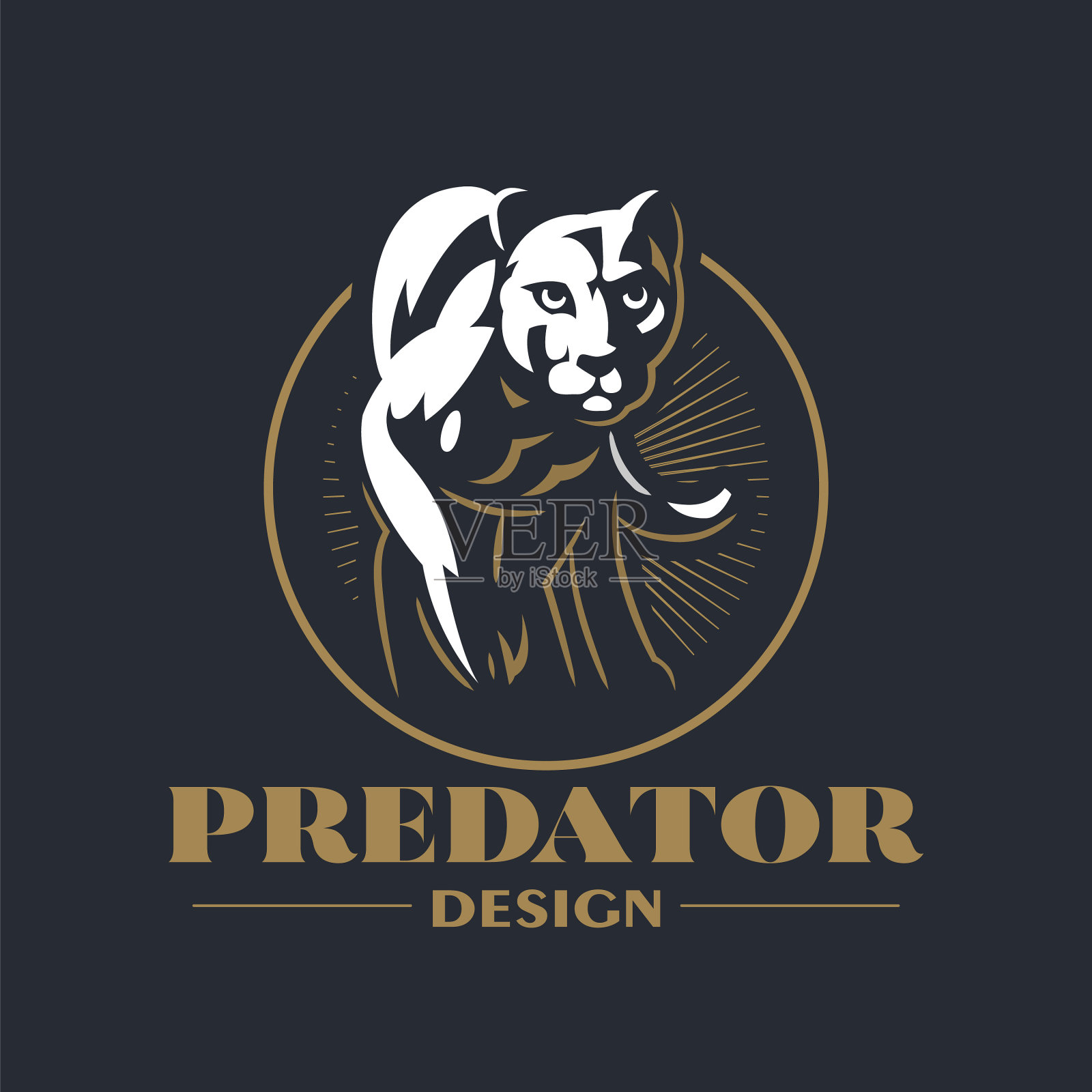 美洲狮或豹会走路插画图片素材