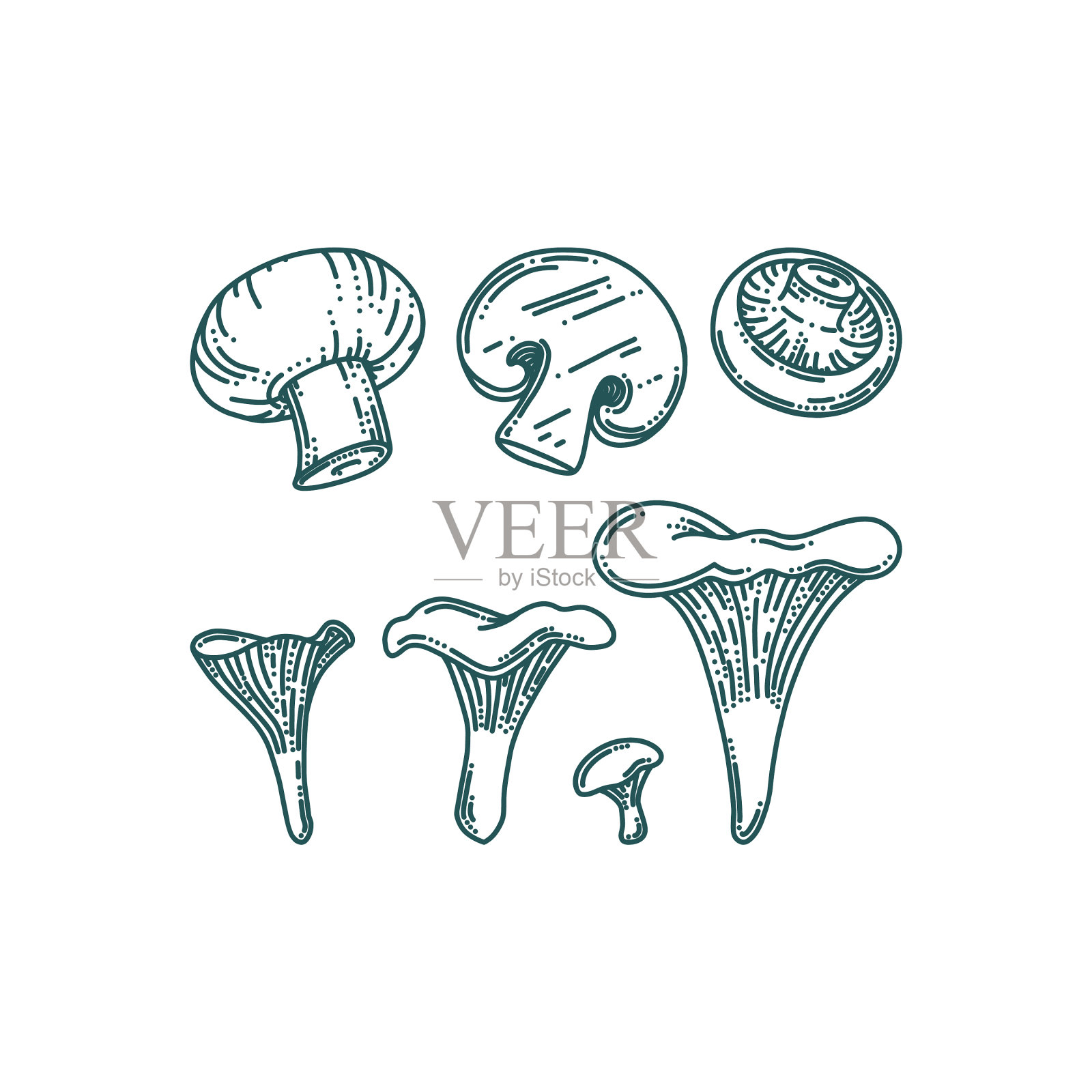 鸡油菌和香菇涂鸦插画图片素材