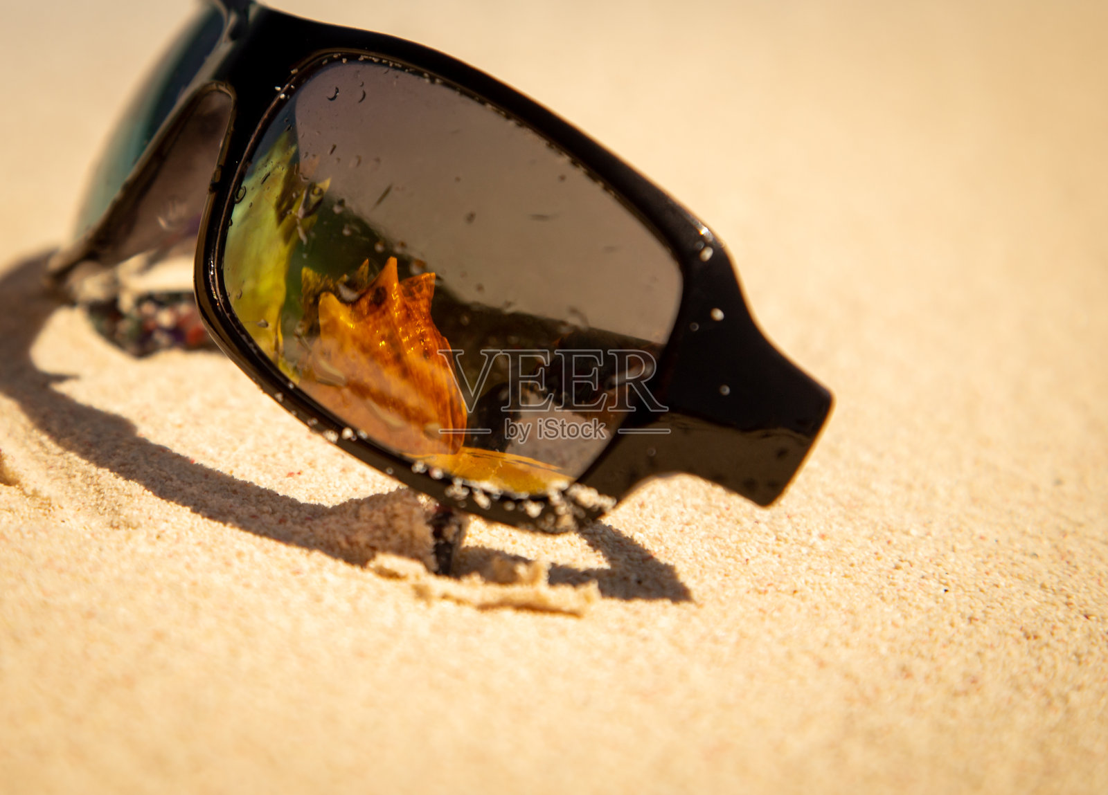 海螺壳反射在太阳镜上照片摄影图片