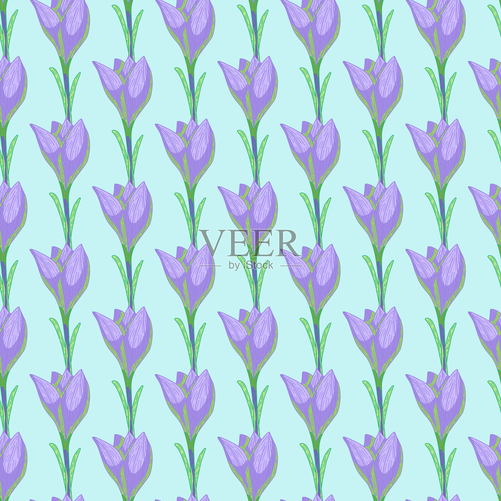 紫色轮廓番红花手绘轮廓无缝涂鸦图案。光青绿色背景。插画图片素材