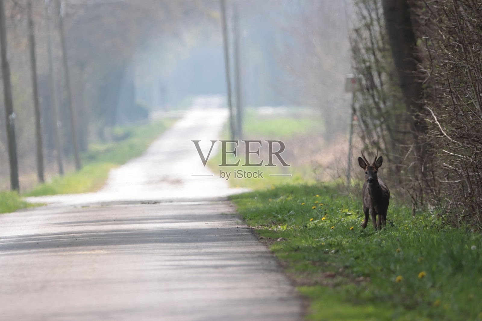 路边照片摄影图片
