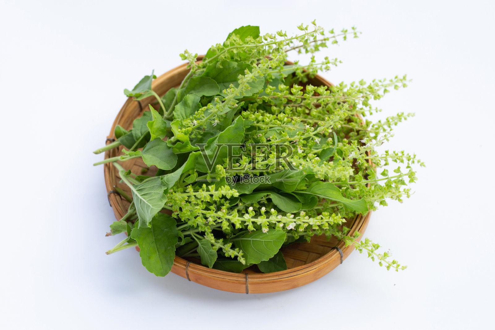 神圣的罗勒叶与花在竹篮上白色照片摄影图片
