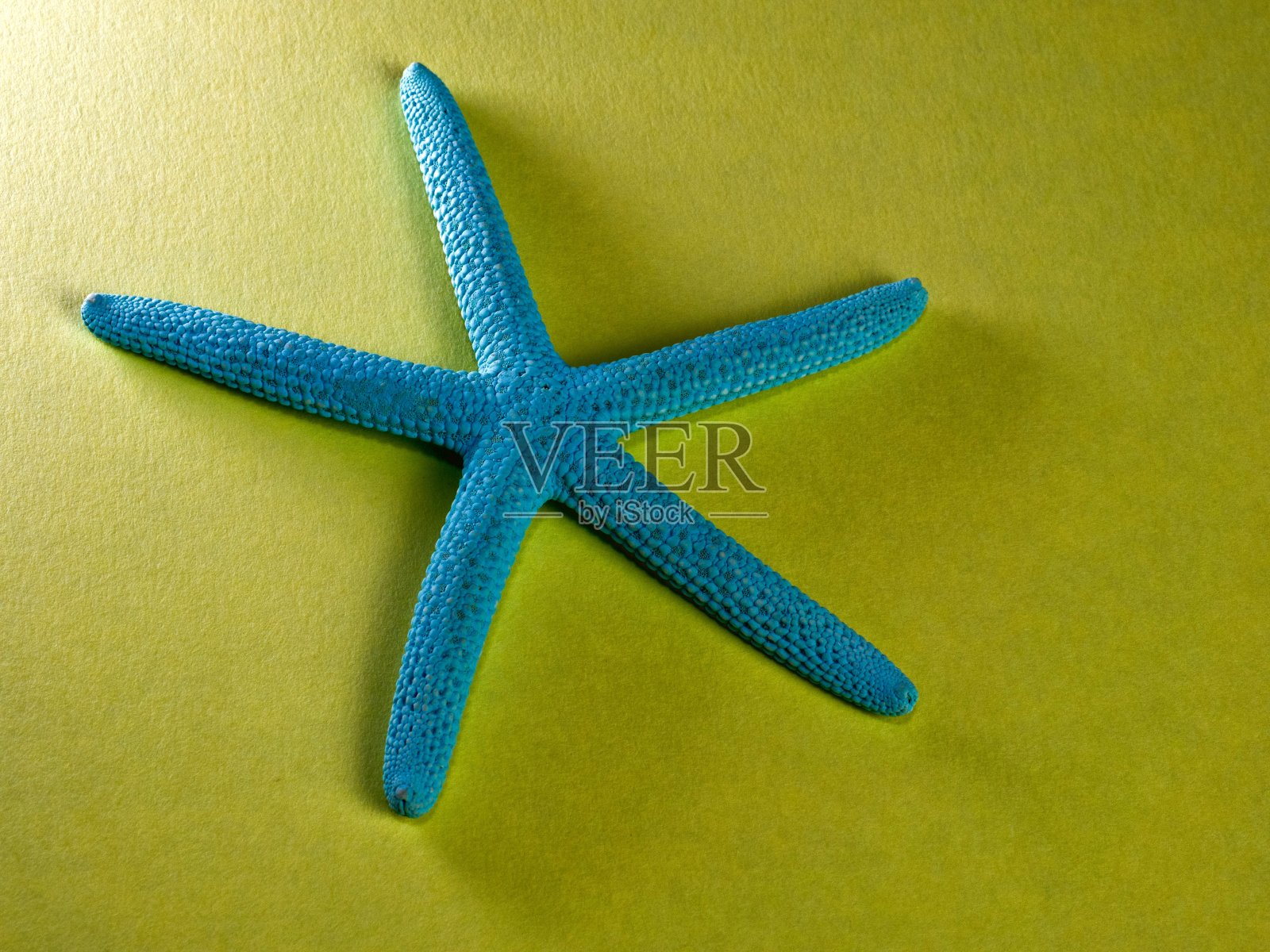 详细拍摄的水蓝色海星在黄色照片摄影图片