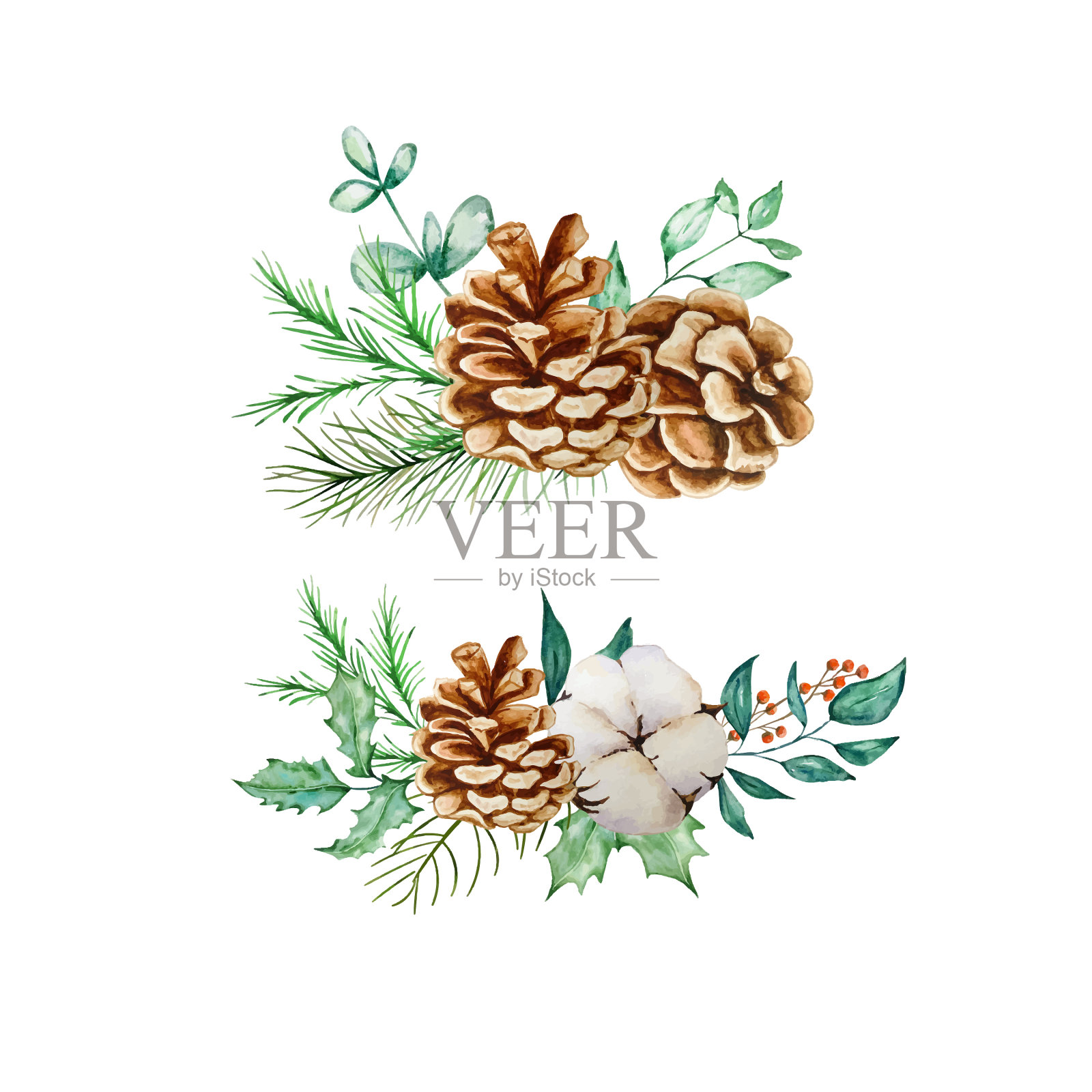 用桉树和冷杉装饰圣诞花束设计元素图片