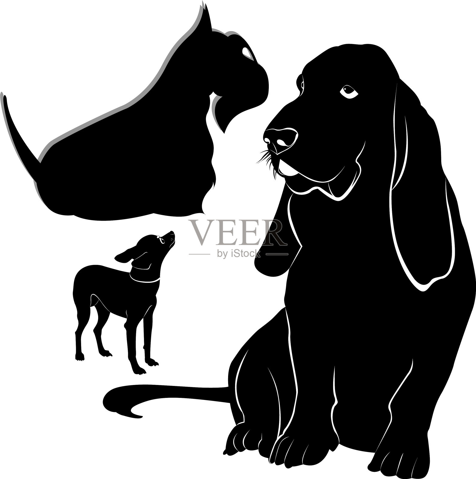 巴吉度犬，吉娃娃，苏格兰梗设计元素图片