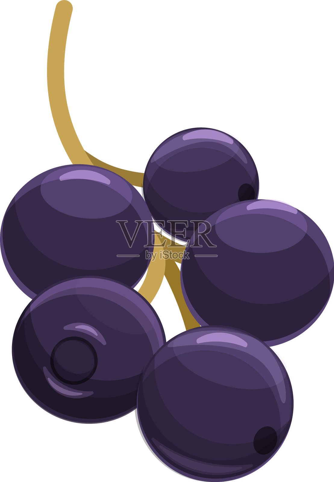 接骨木超级食品图标卡通风格设计元素图片