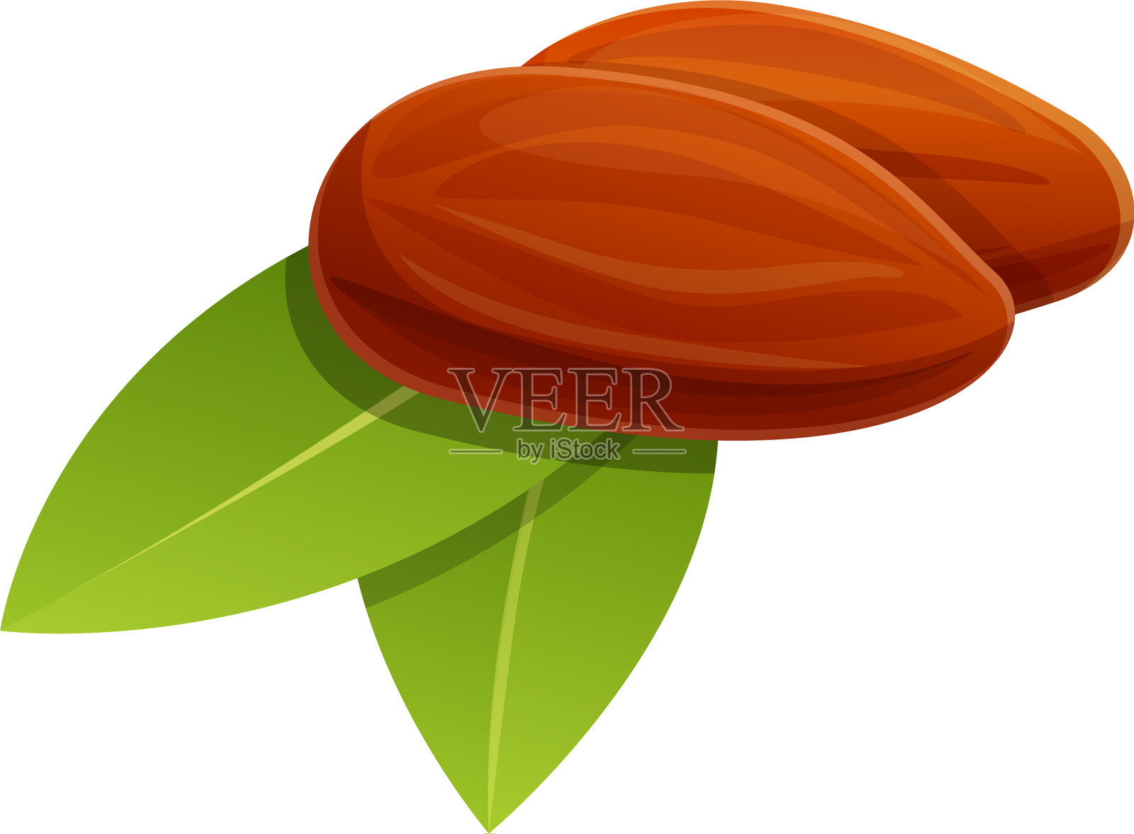 荷荷巴药草种子图标卡通风格设计元素图片