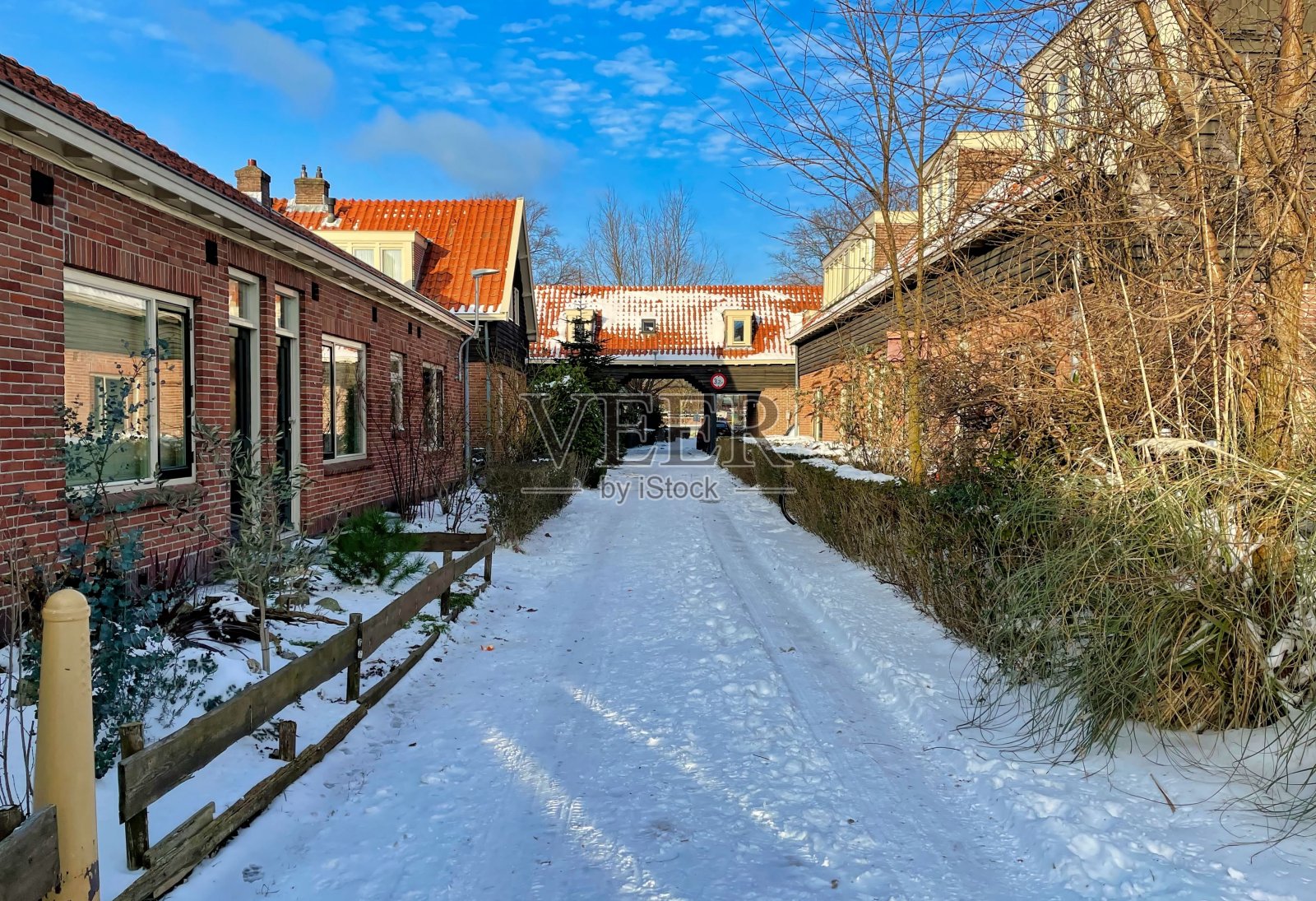 荷兰阿姆斯特丹运河周围的雪照片摄影图片