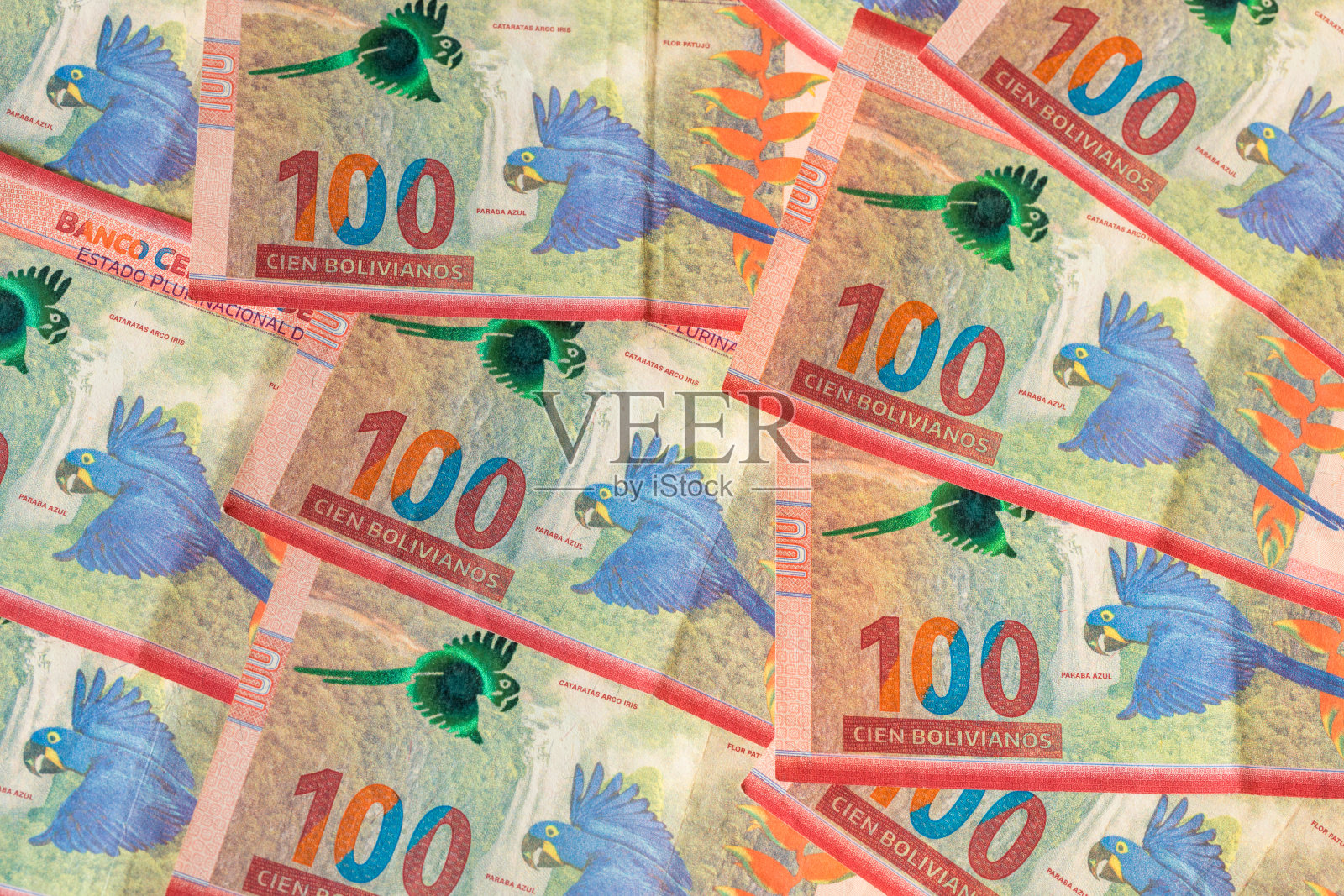 玻利维亚货币，带有金刚鹦鹉的100张纸币，大量的填充背景，商业和金融概念照片摄影图片