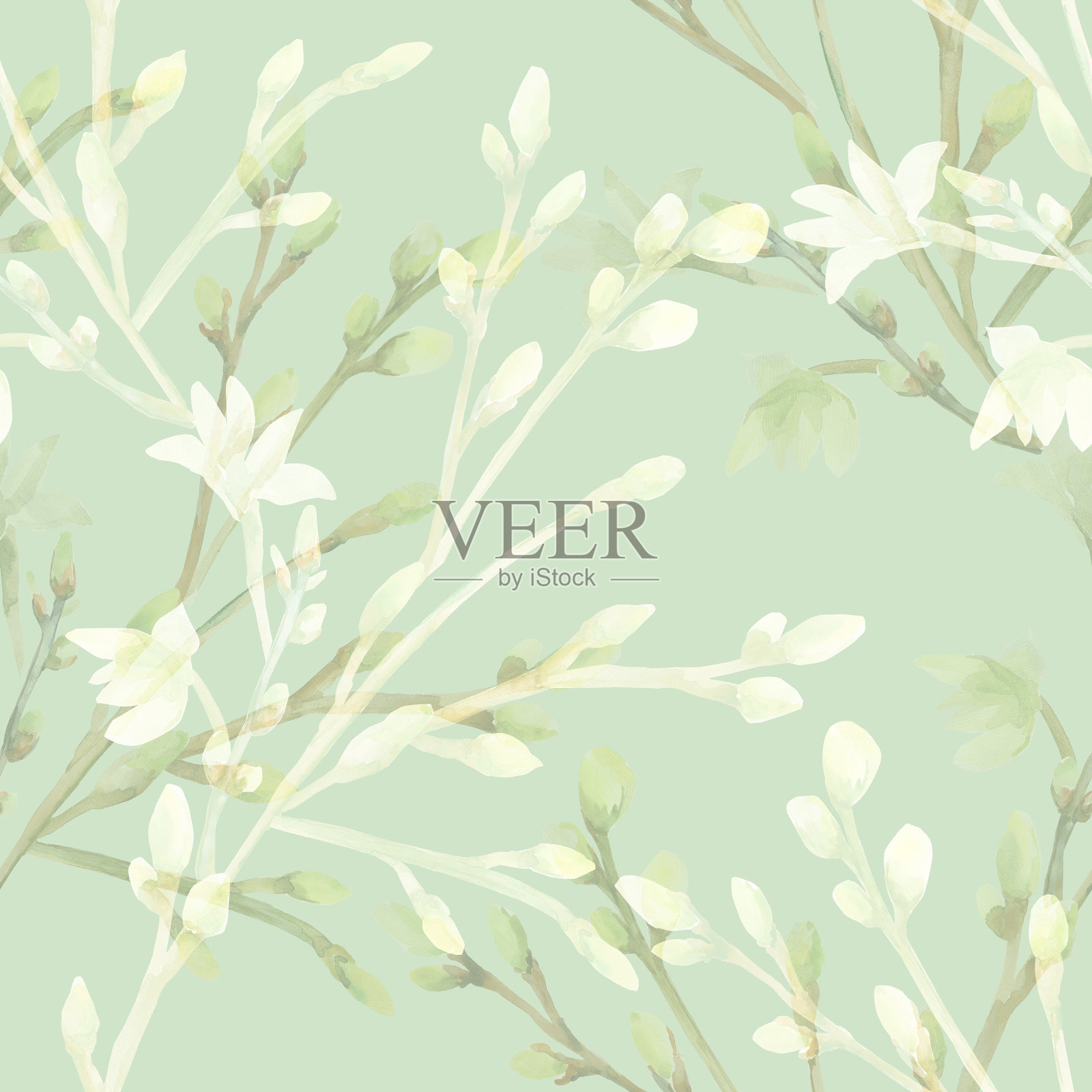 一个开花的树枝的水彩插图。插画图片素材