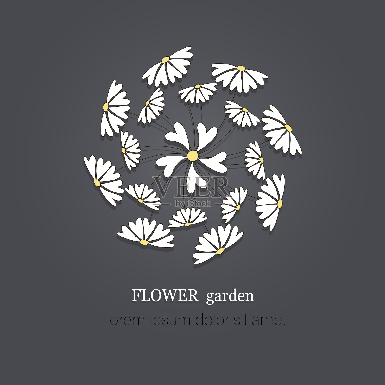 洋甘菊花束,字段。向量花草本有机徽章。花园。标志,象征,图标。插画图片素材