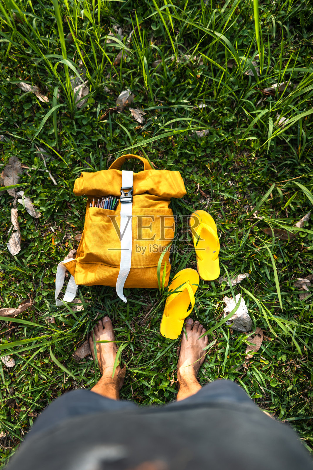 暑假黄色的袋子在夏天的草地照片摄影图片