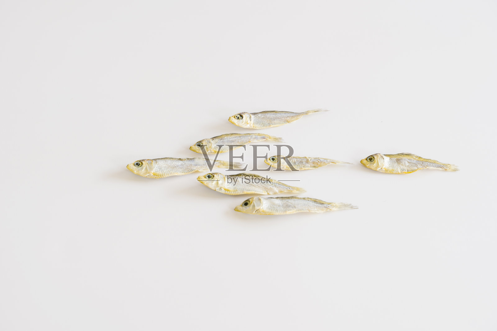 分离的小鱼干照片摄影图片