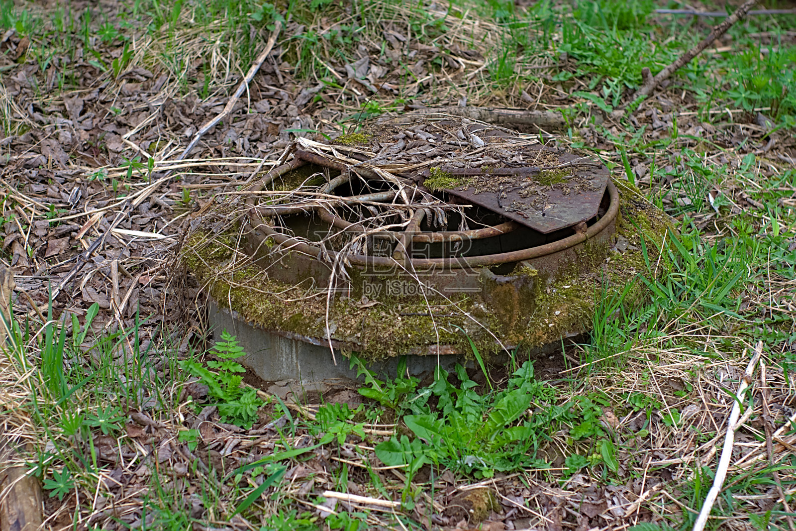 森林公园草坪上的旧下水道下水道照片摄影图片