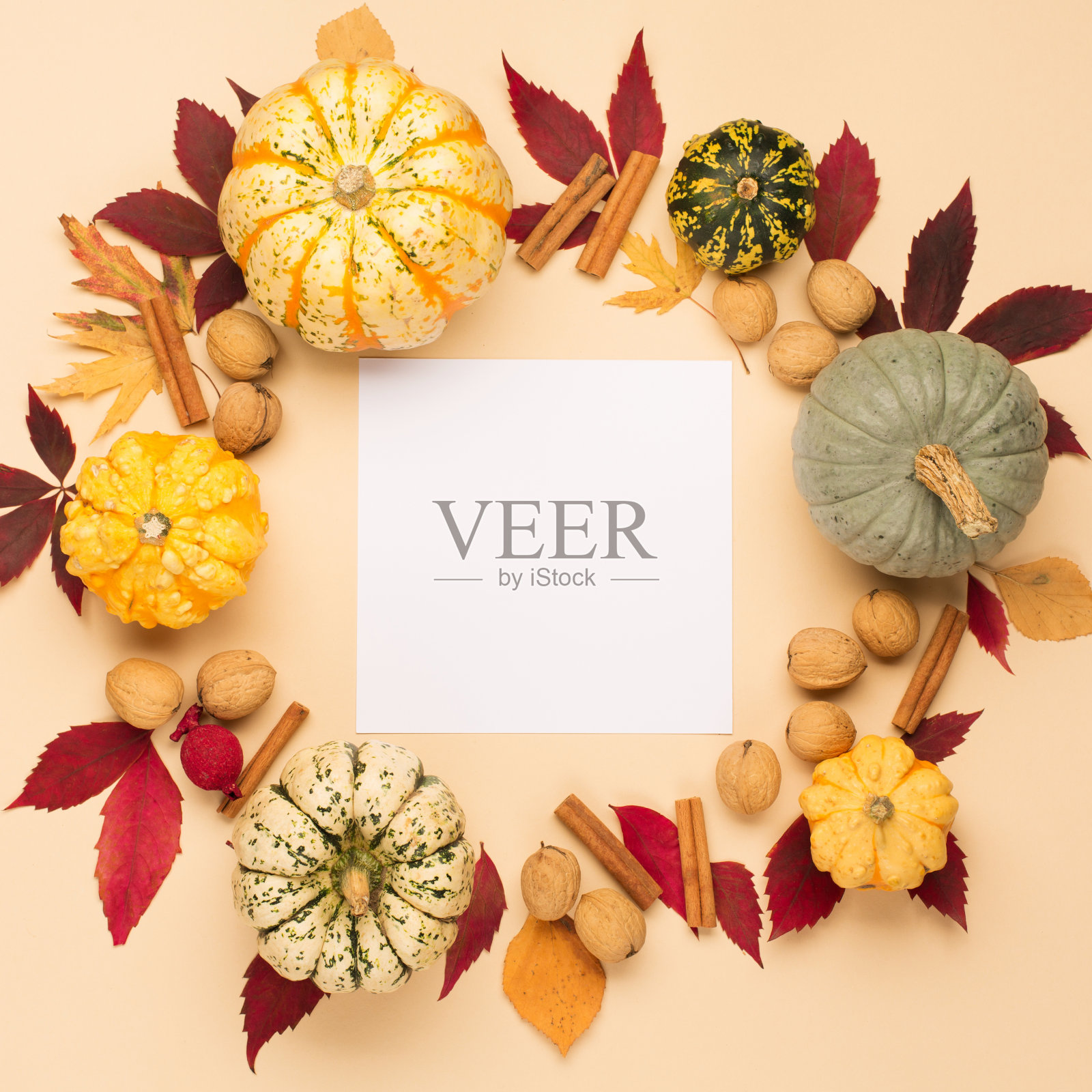 创意秋天、感恩节、秋天、万圣节的概念。俯视图，复制空间。照片摄影图片