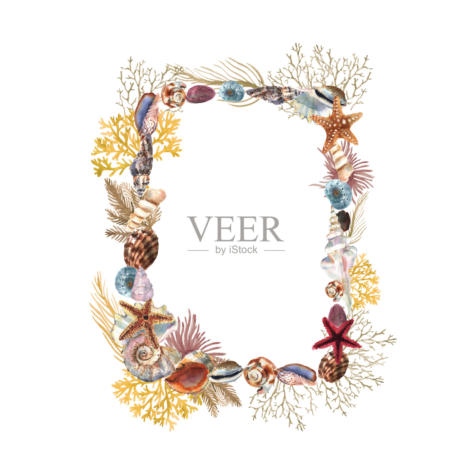 美丽的水彩框架与五颜六色的贝壳，星星和植物的装饰设计。艺术背景。水下花卉插图插画图片素材