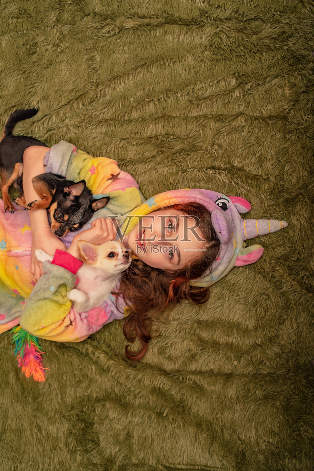 一个十几岁的女孩在家里穿着睡衣，穿着绿色格子裙，身边有一只白色的吉娃娃小狗和一只黑色的吉娃娃。一个十几岁的女孩和一只吉娃娃小狗躺在一起。女孩放松与狗。照片摄影图片