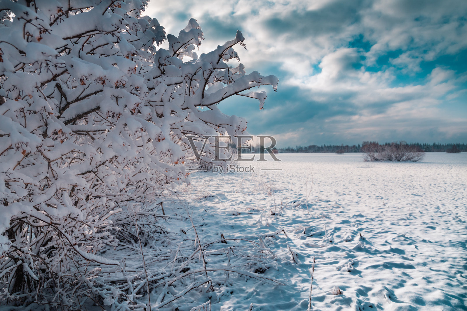 冬天的风景照片摄影图片