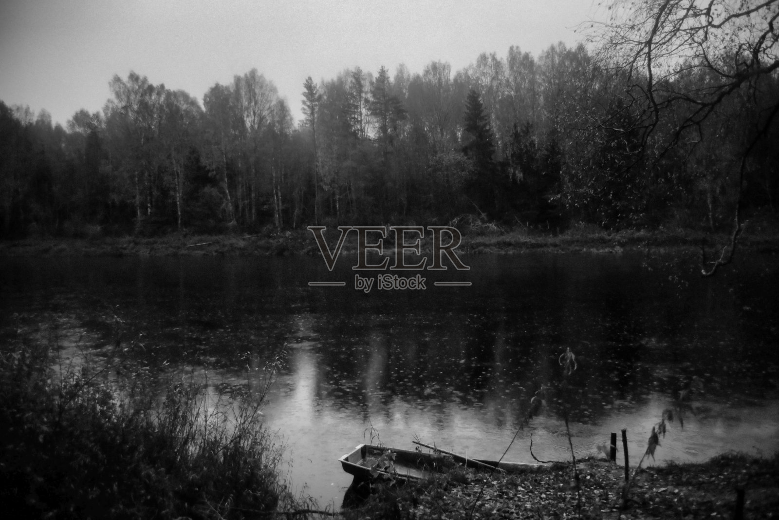 照片照片摄影图片