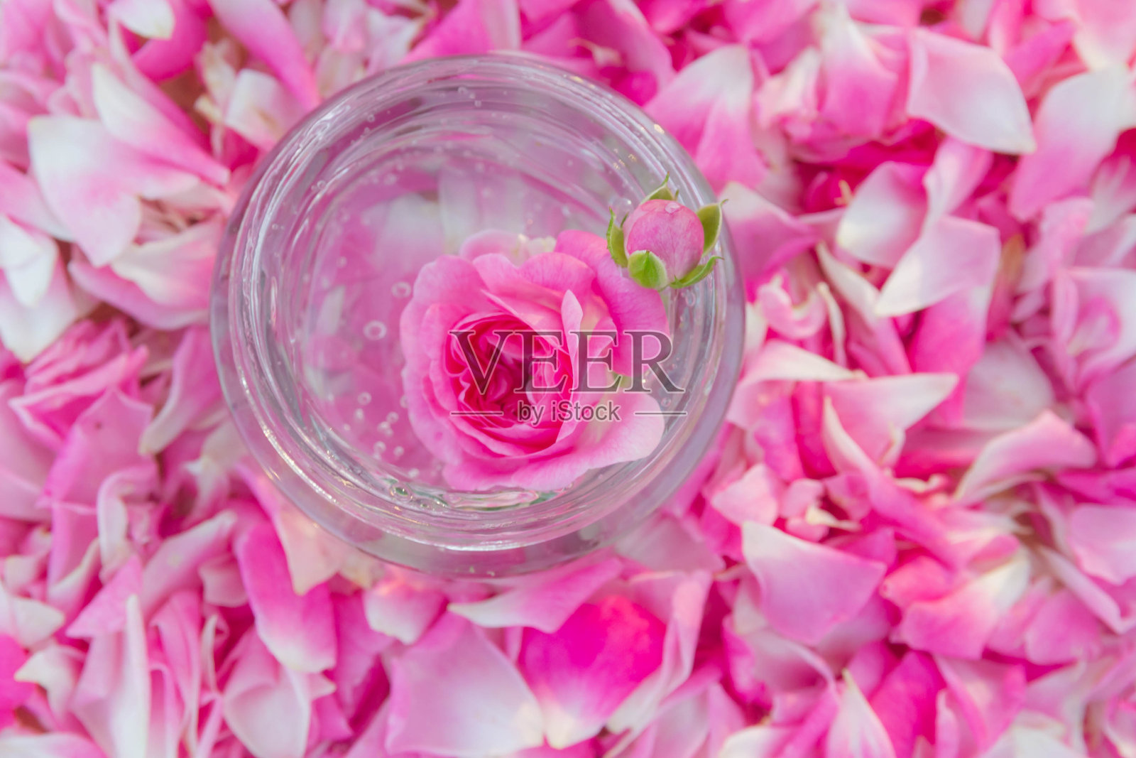 透明霜，身体凝胶，粉色背景的自然玫瑰花瓣照片摄影图片