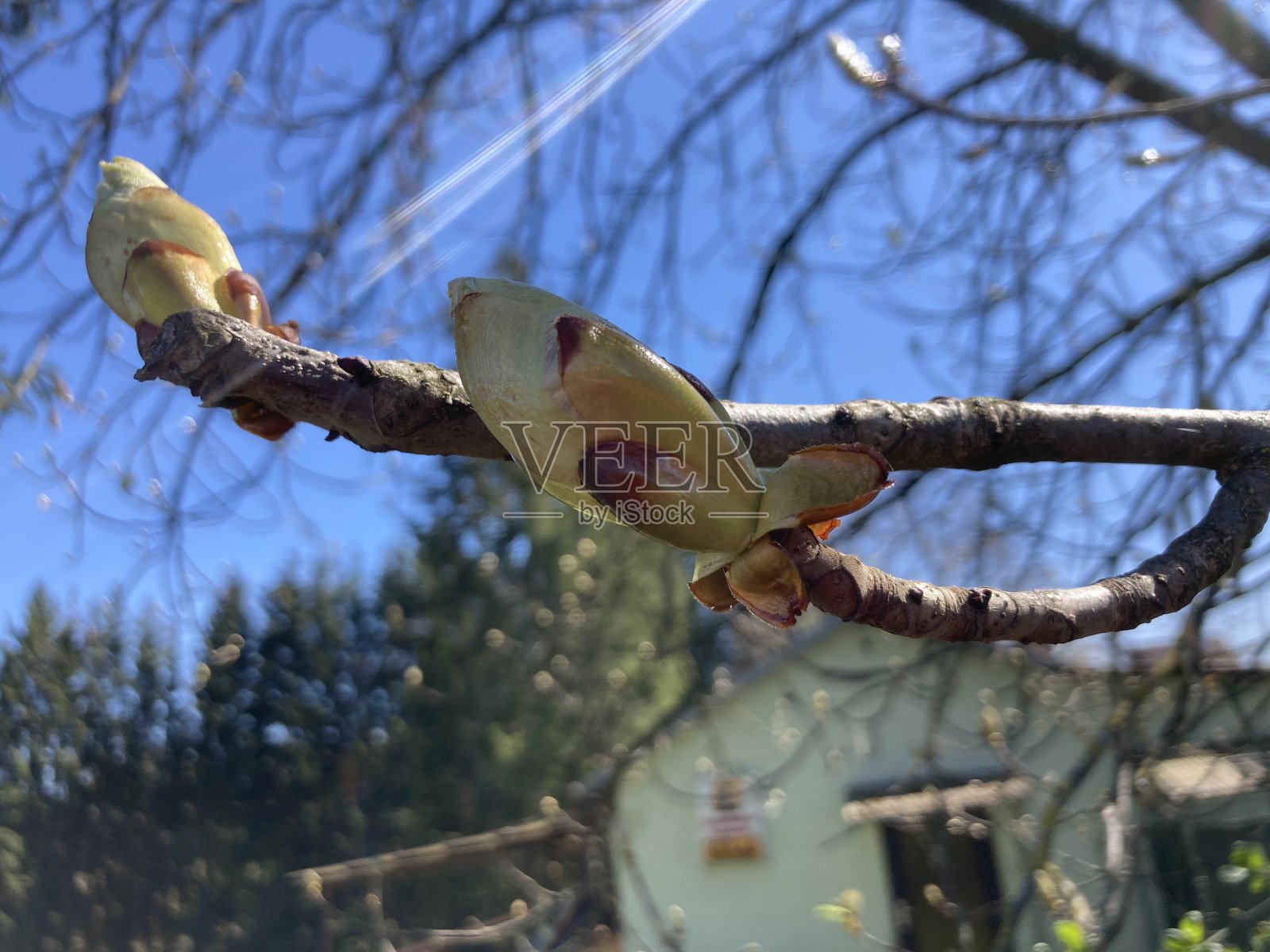 多么晴朗的一天照片摄影图片