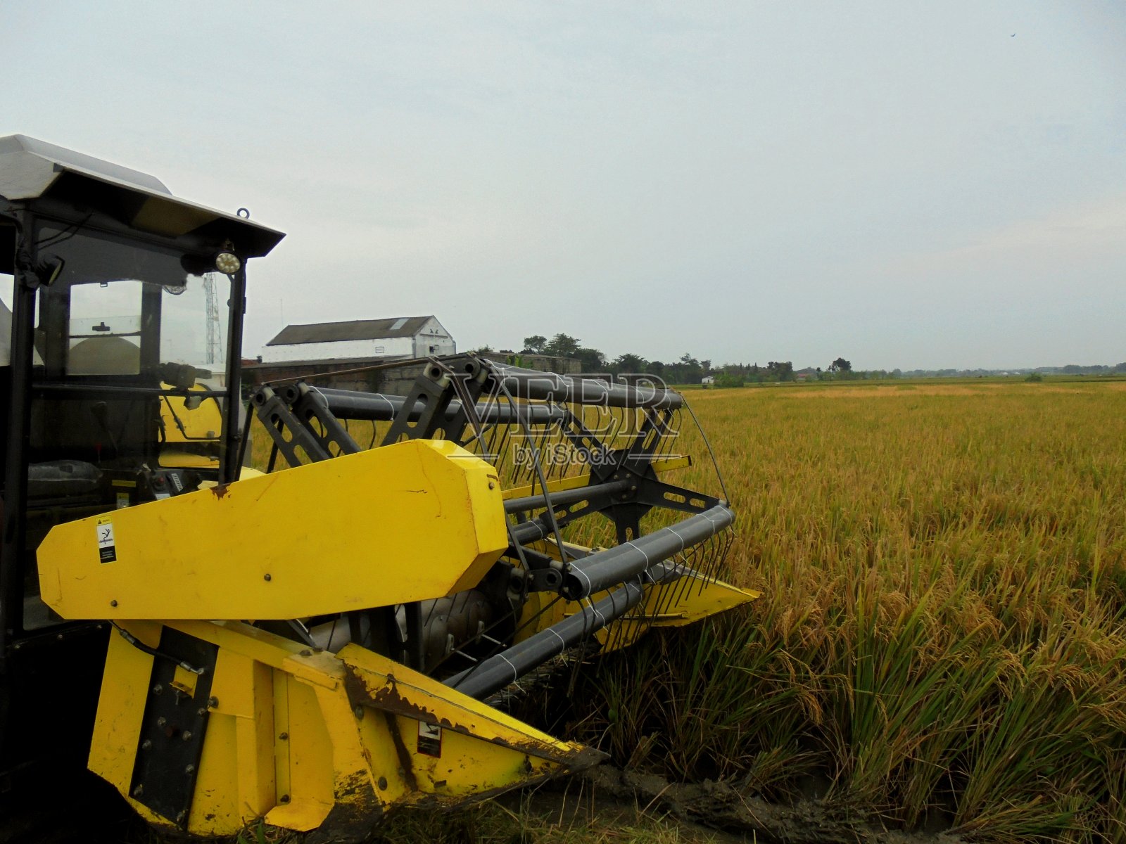 的联合收割机照片摄影图片