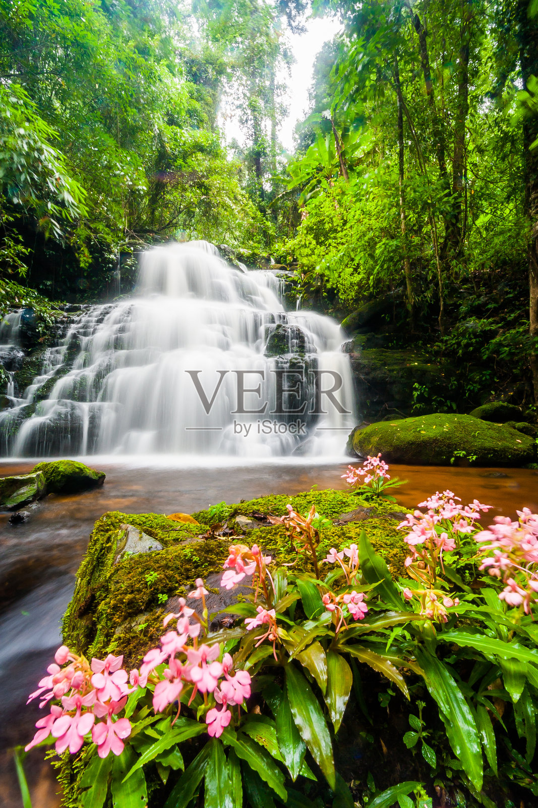 美丽的自然瀑布梯级岩石山与金鱼花照片摄影图片