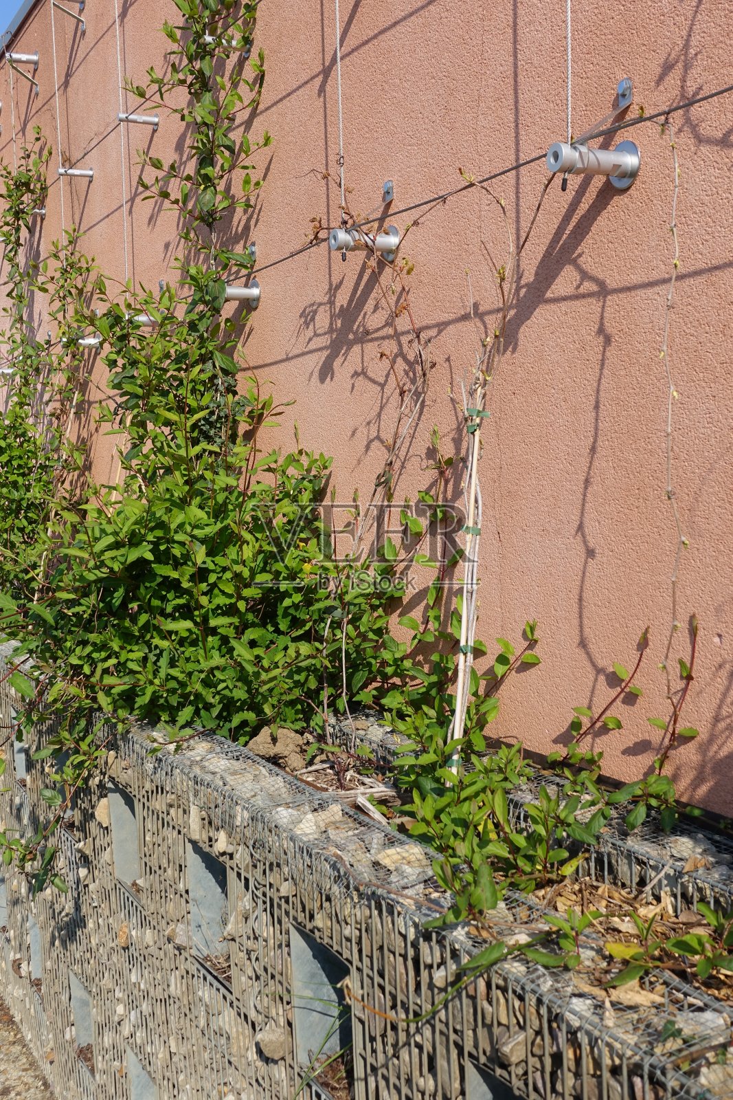 一个设计绿色墙的建造在一个网格盒卵石基座照片摄影图片