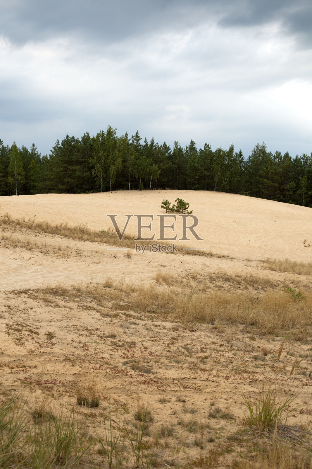 明亮的秋天天空下的沙丘照片摄影图片