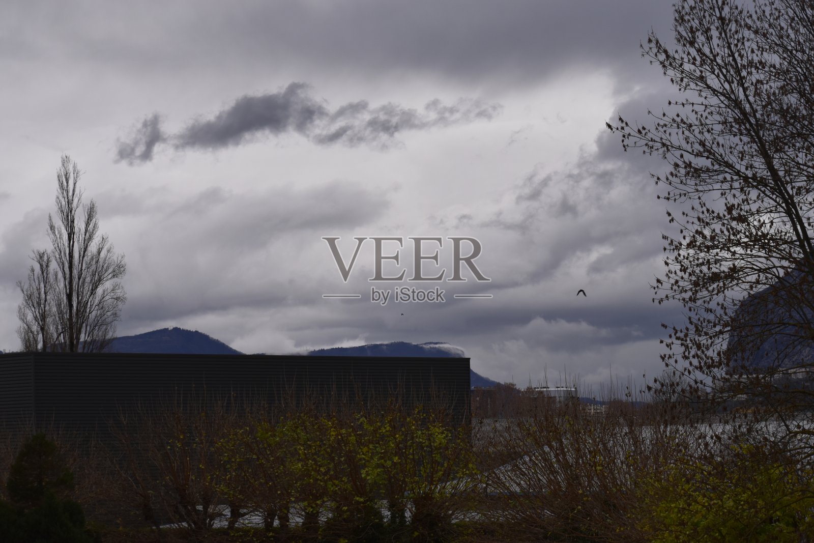 长时间散步的照片照片摄影图片