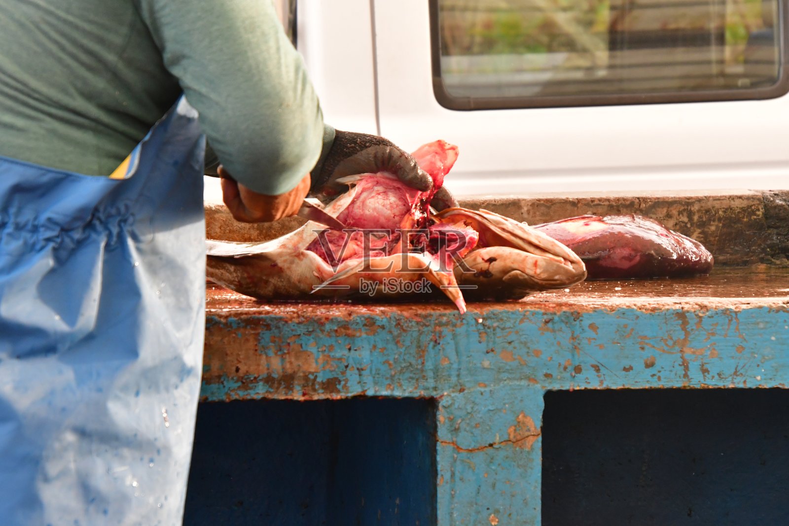 鱼市场照片摄影图片