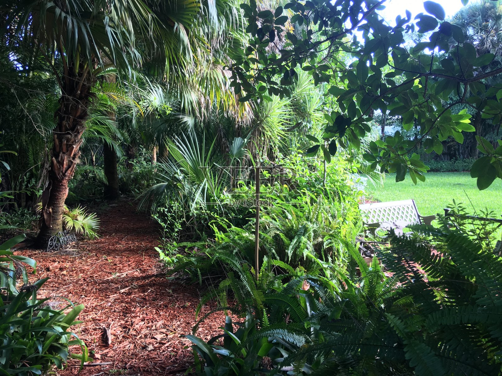 花园小径照片摄影图片