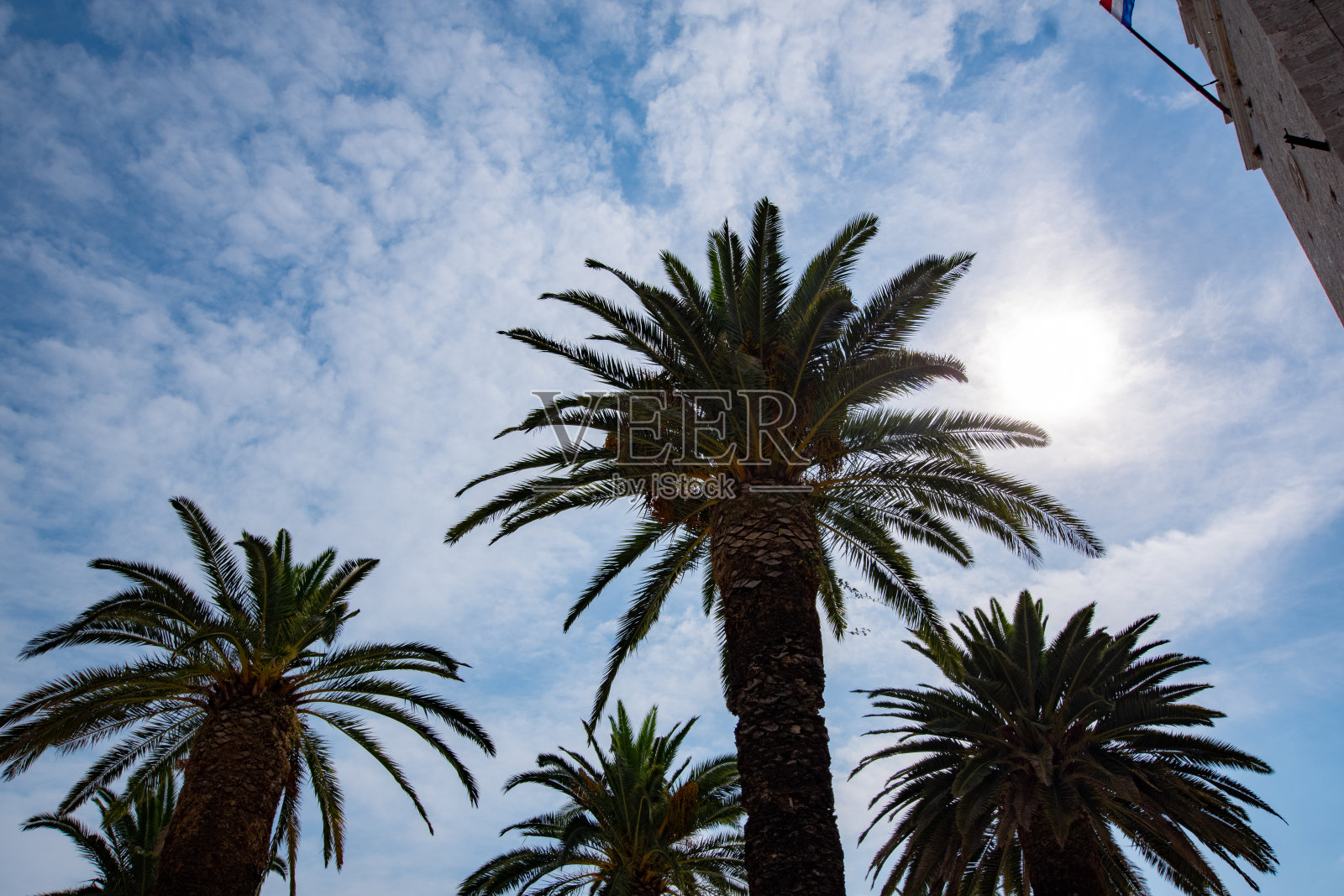 手掌和天空照片摄影图片