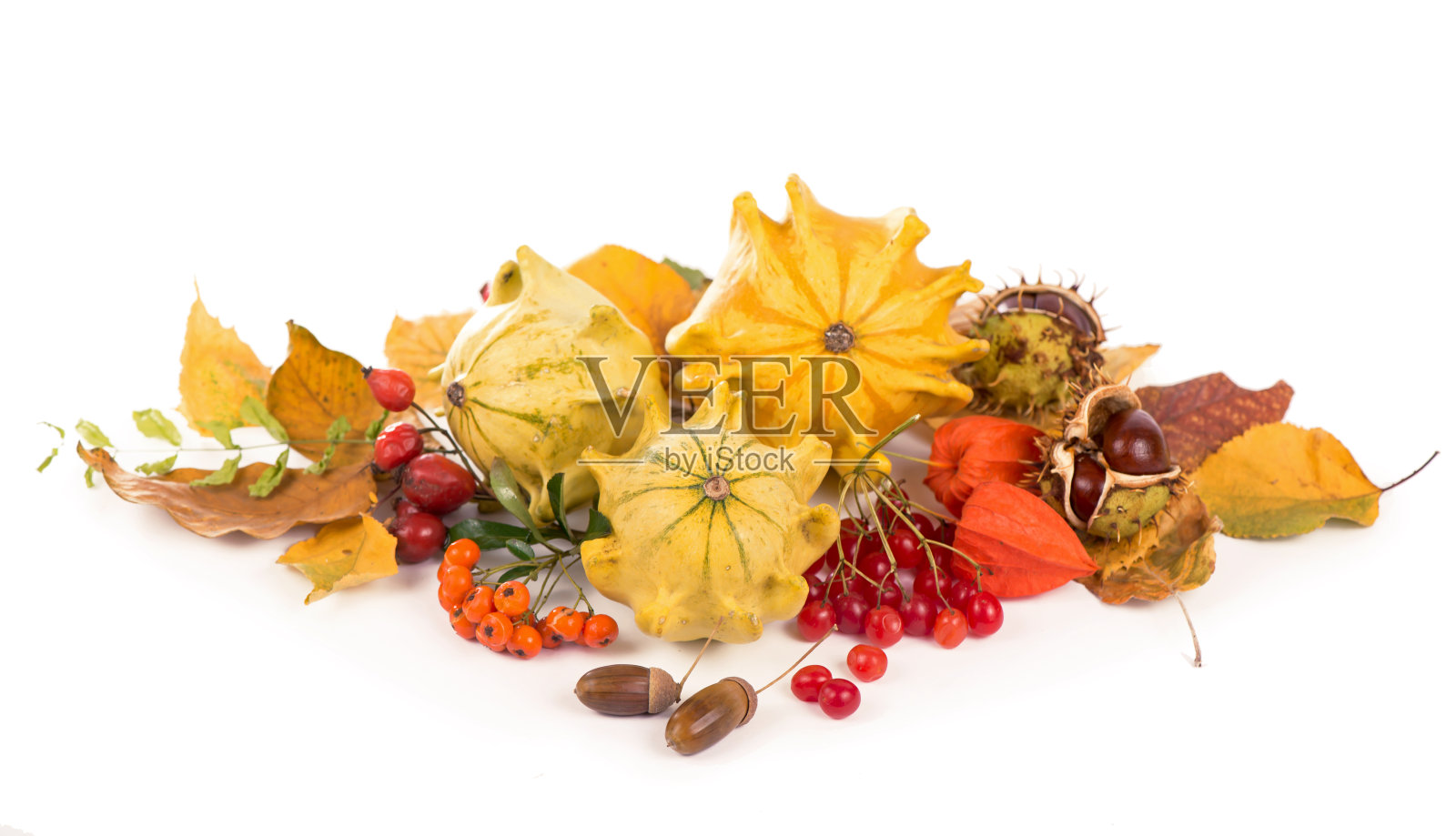 秋季装饰以干叶、南瓜等为主，孤立白色，宽格式照片摄影图片