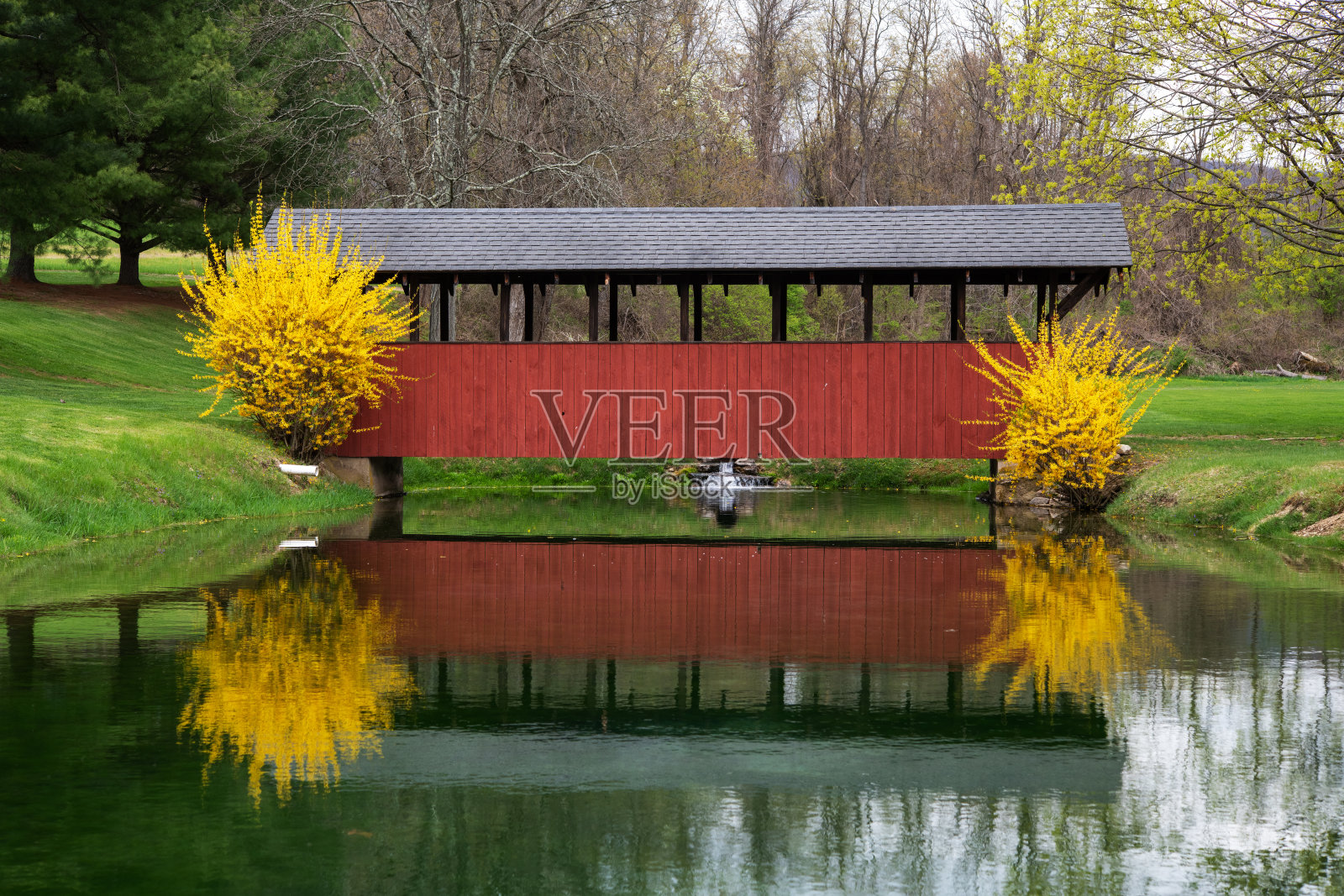 宾西法尼亚州乡村的有顶桥照片摄影图片