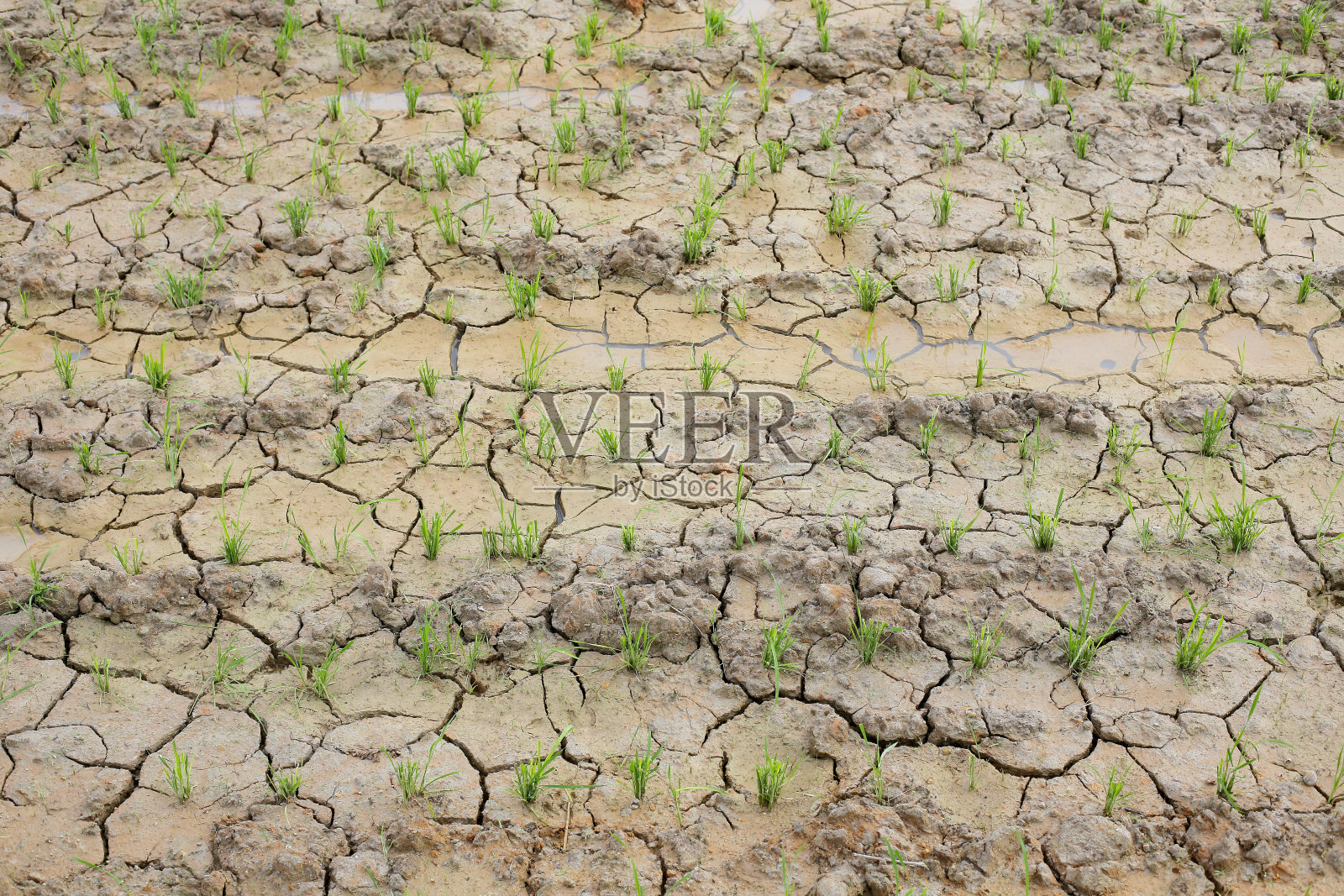 健康生活照片摄影图片