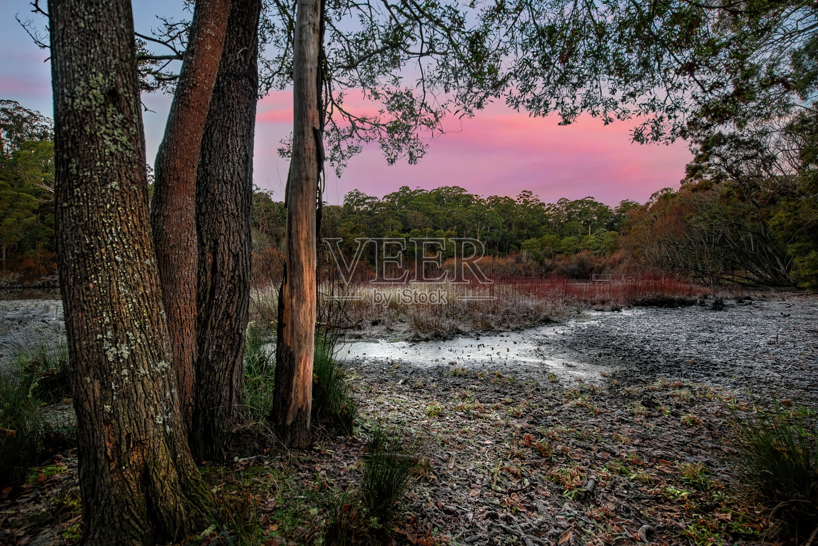 黎明时分，戴勒斯福德的朱比利湖照片摄影图片