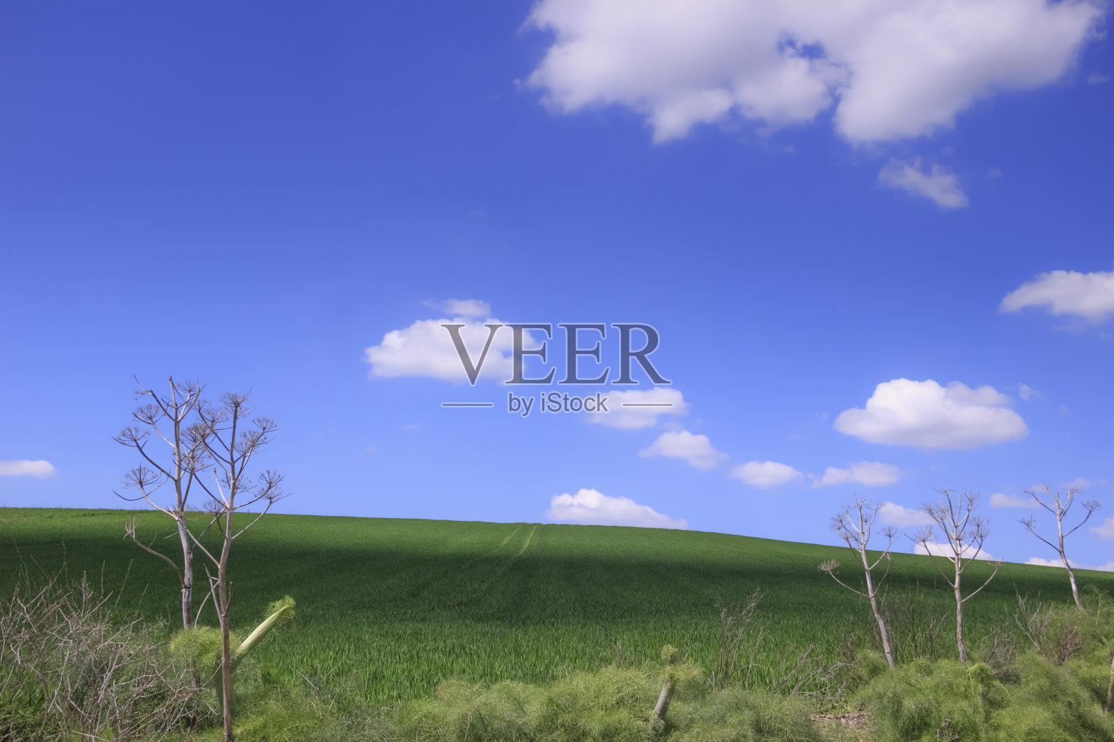 天边有草，蓝天有云。照片摄影图片