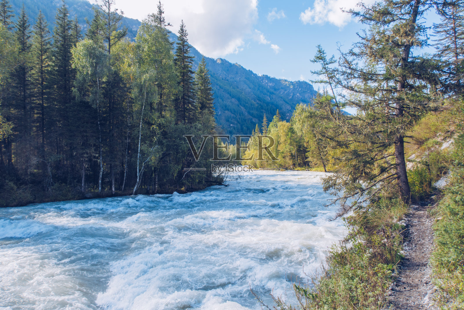美丽的山河流淌。俄罗斯西伯利亚阿尔泰山脉的别鲁卡国家公园里的蓝色库切拉河照片摄影图片
