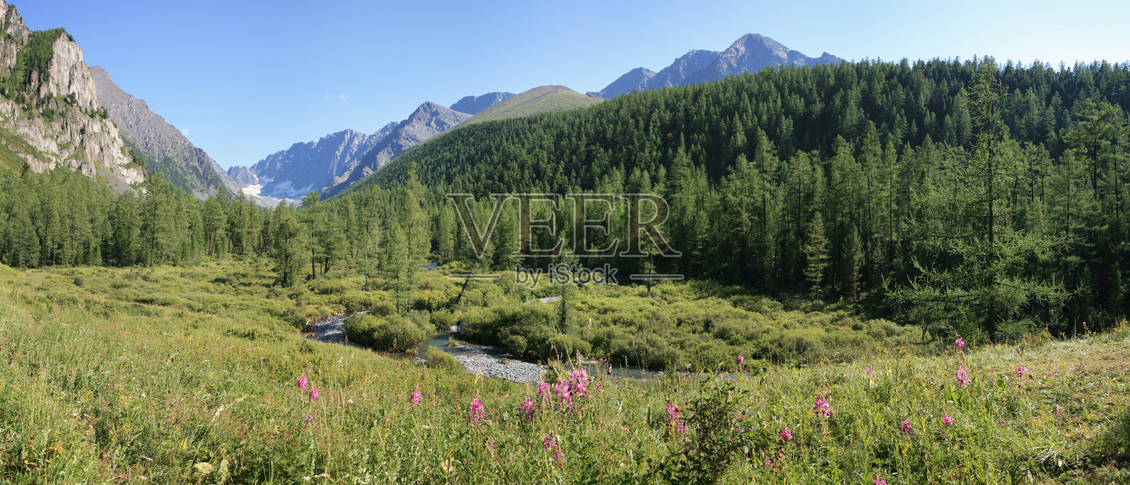 夏日山谷里绿树成荫，清晨阳光明媚照片摄影图片