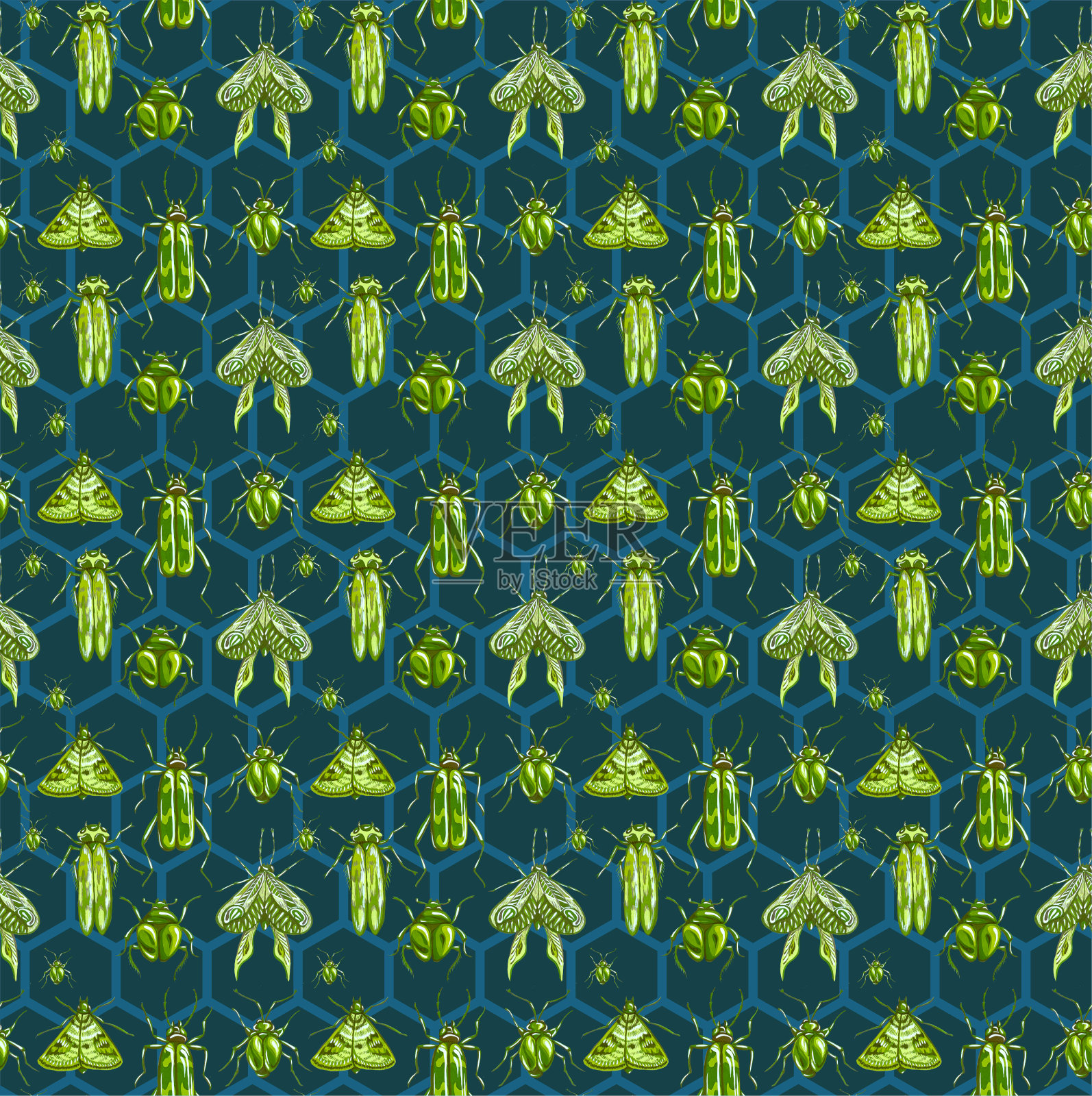 天衣无缝的甲虫、蝴蝶和飞蛾图案插画图片素材