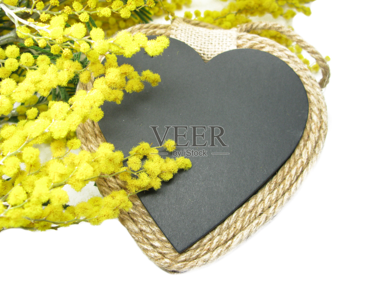 含羞草黄色的花灌木花春天的背景8三月贺卡照片摄影图片