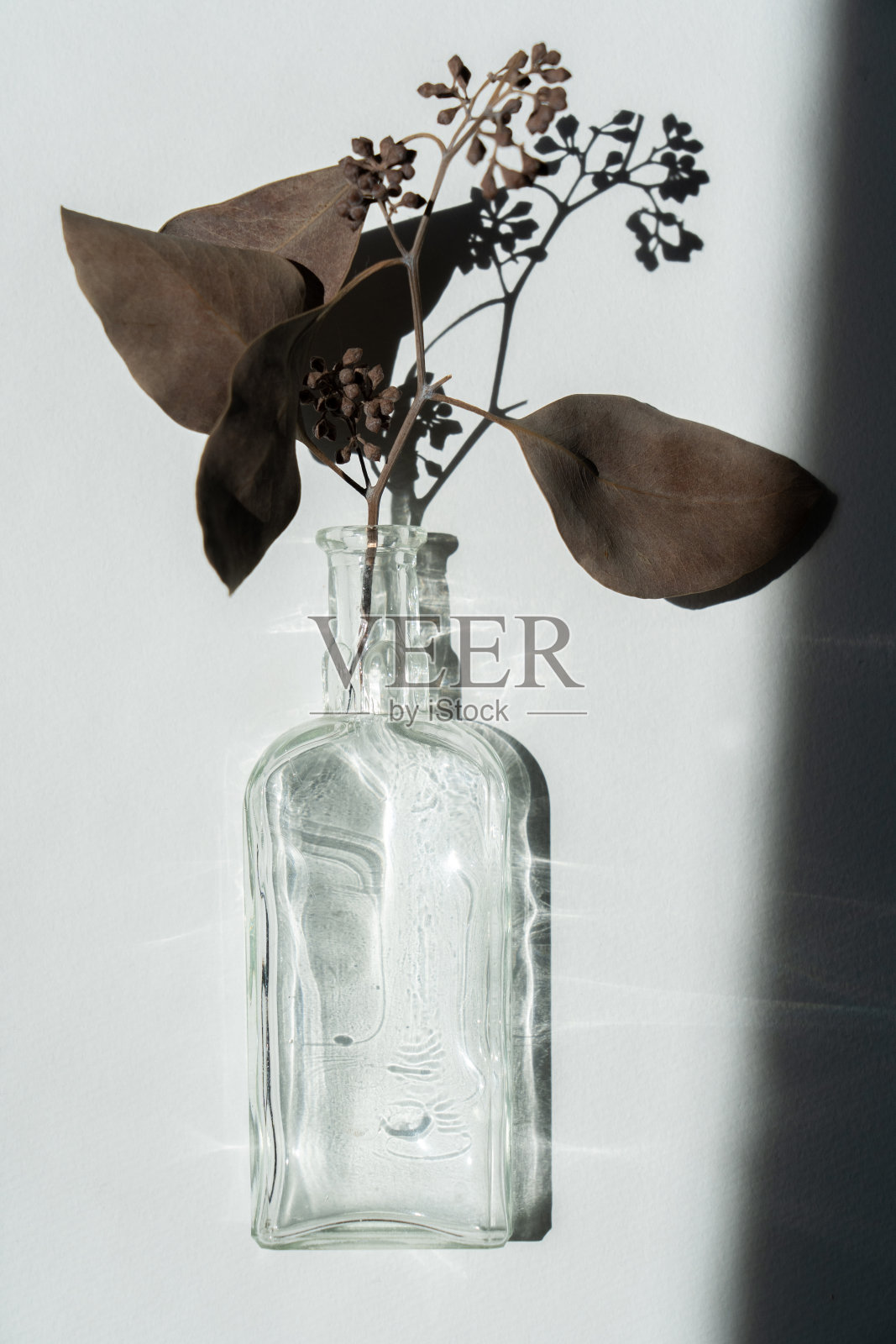 旧的玻璃瓶照片摄影图片