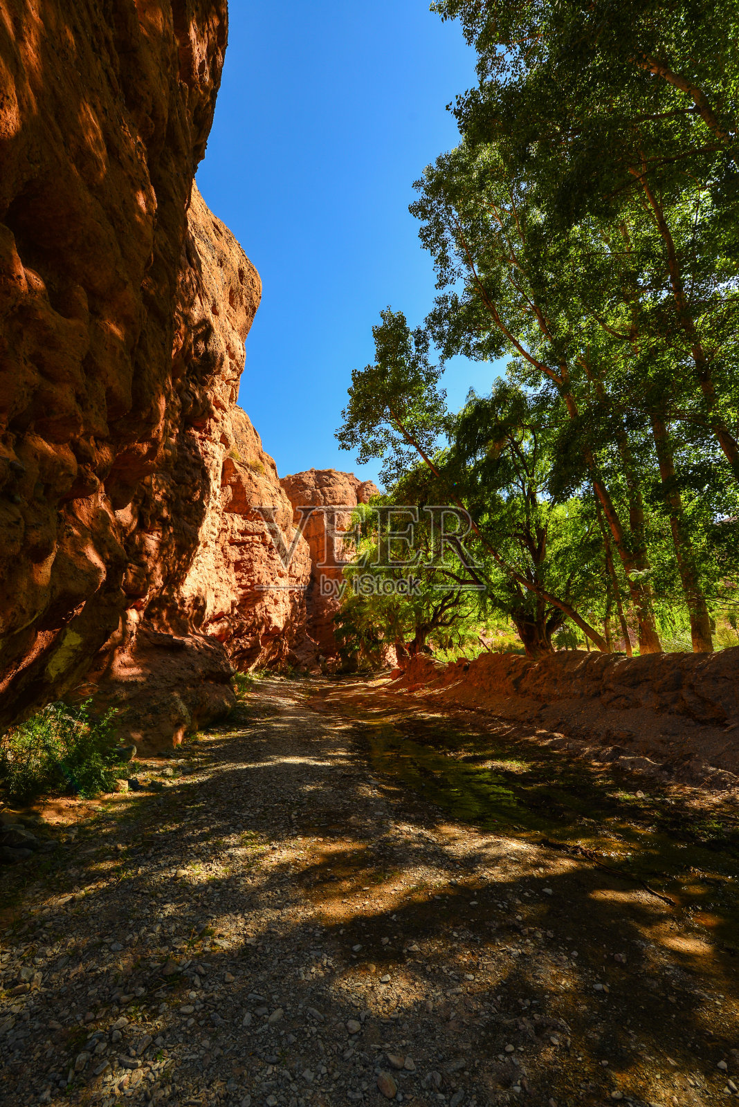 萨尔塔的一个小而多叶的峡谷照片摄影图片