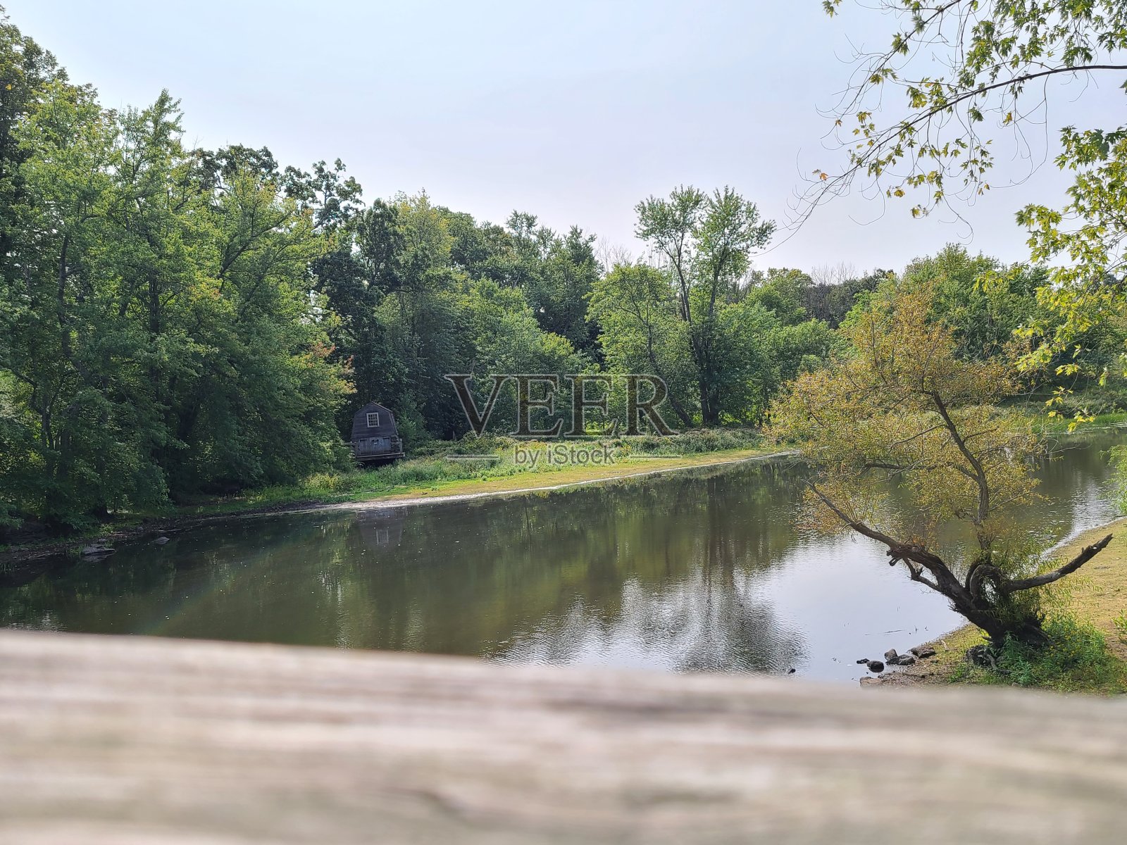 从桥上看照片摄影图片