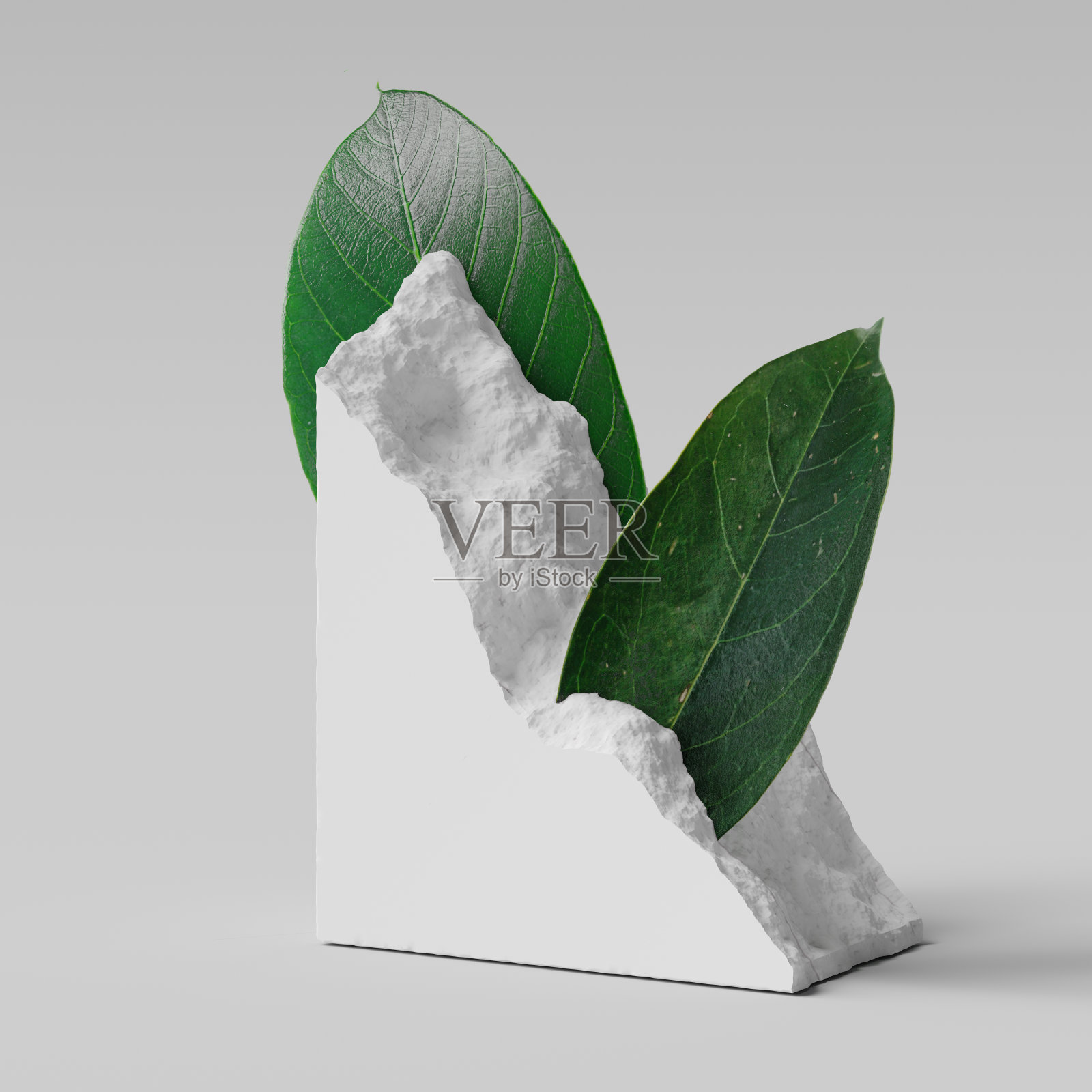 白石毛坯和绿叶抽象装饰元素，为天然有机产品呈现，3d渲染照片摄影图片