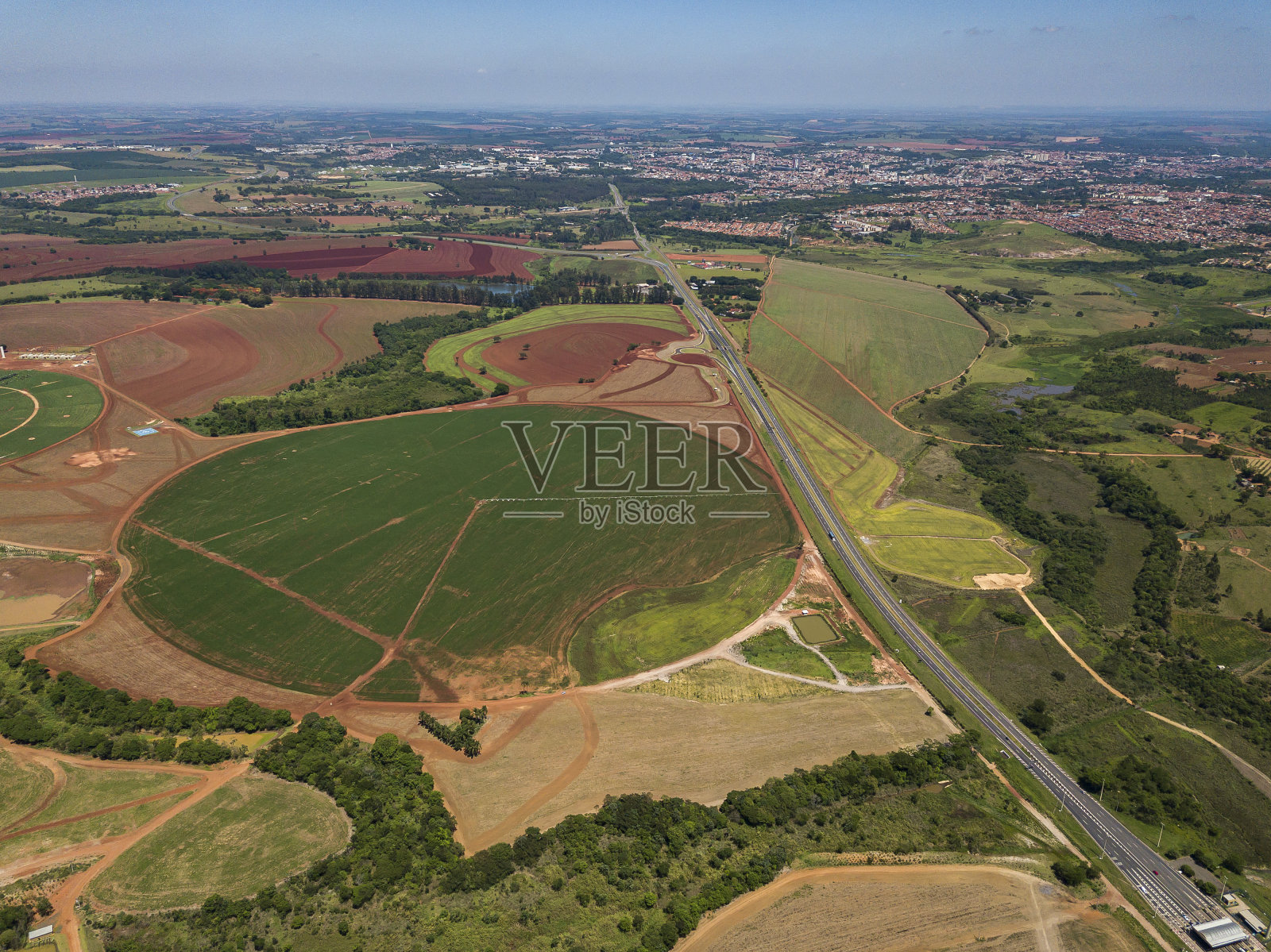 人工林鸟瞰图照片摄影图片